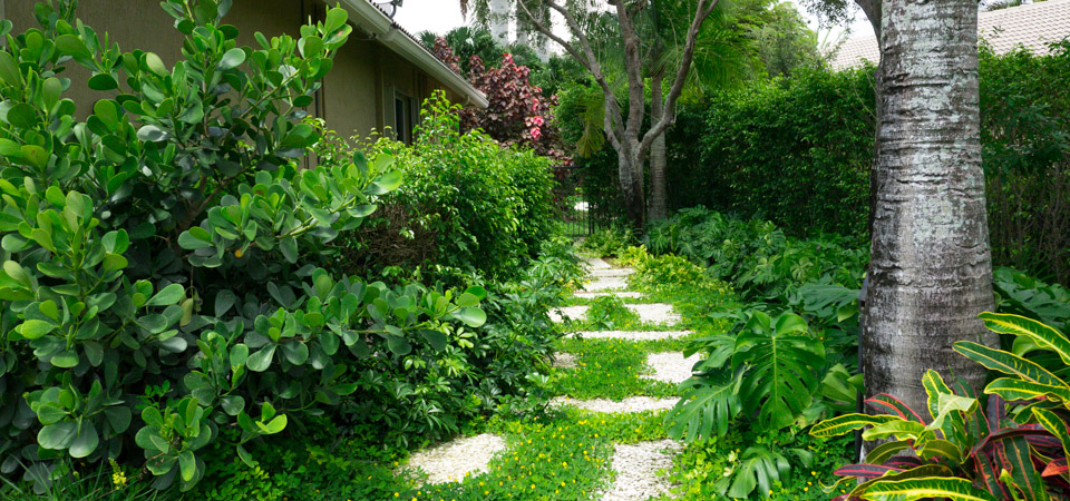 Weston Retreat | Landscape Designers | South Florida | ZITO LANDSCAPE