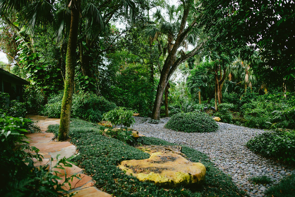South Florida Rain Forest Zito, South Florida Landscape Design Pictures