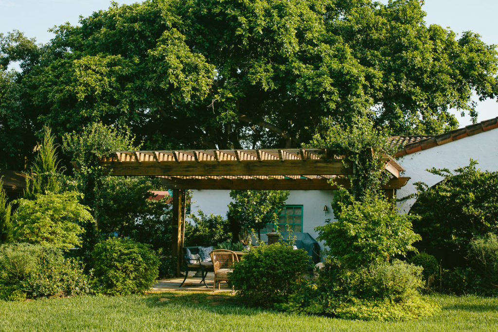 South Florida Landscape Design Ideas: Creating the Perfect Outdoor ...