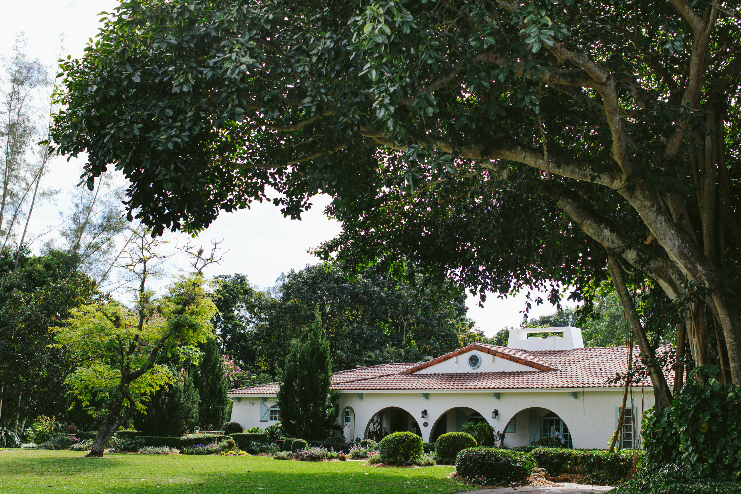 Blue-Stallion-Ranch-Southwest-Ranches-Florida-Zito-Landscaping-28