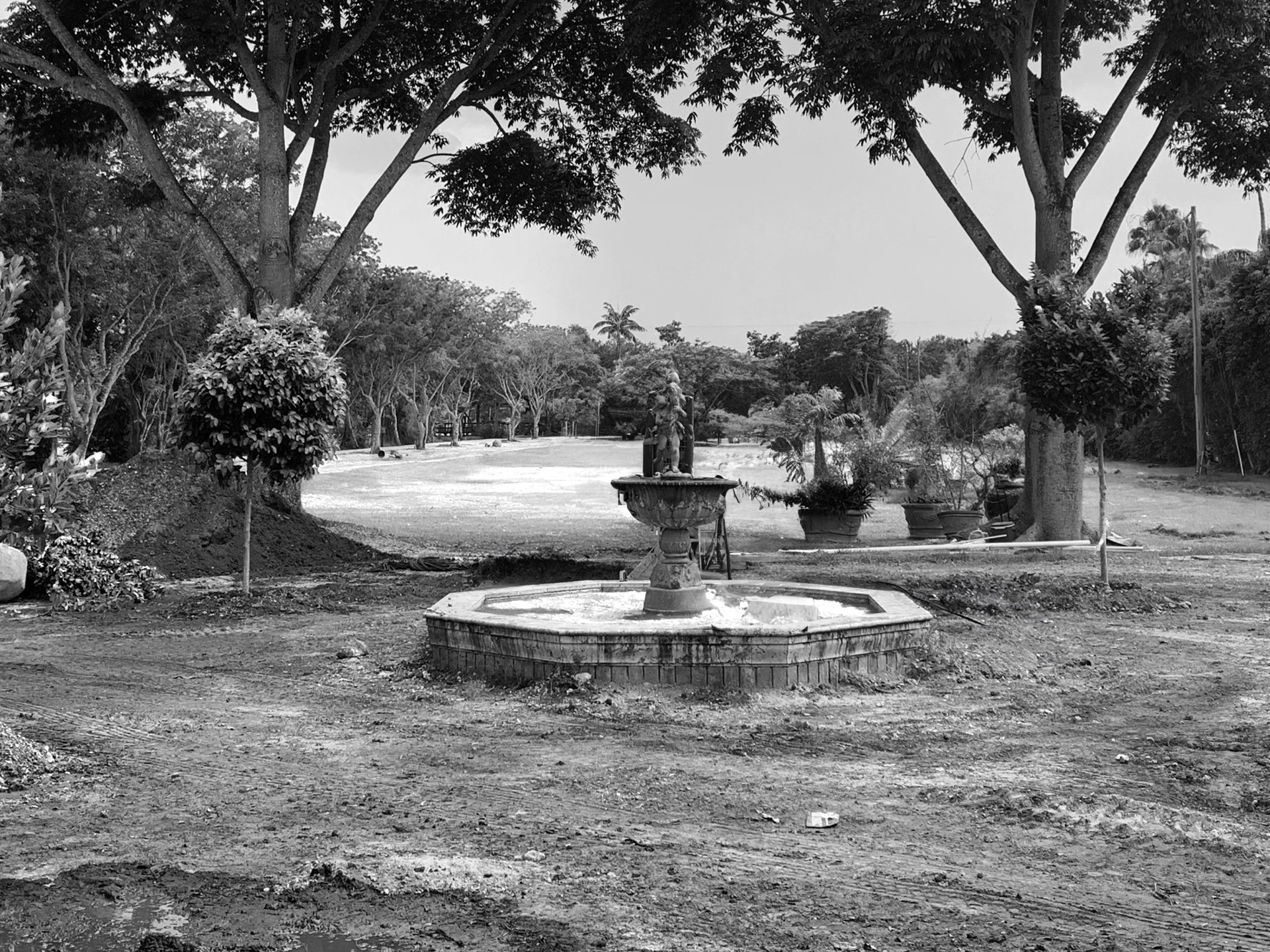 13351-Luray-Road-Estate-Southwest-Ranches-Florida-Zito-Landscaping-1_BEFORE
